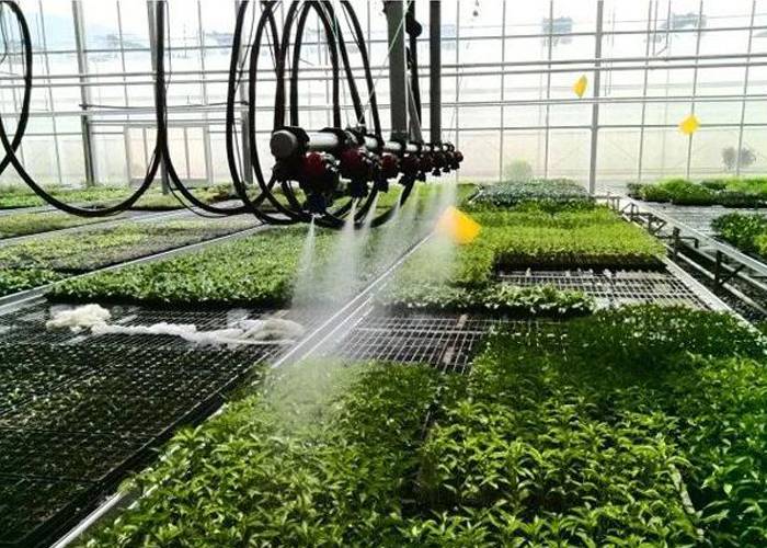 glass greenhouse glass greenhouse