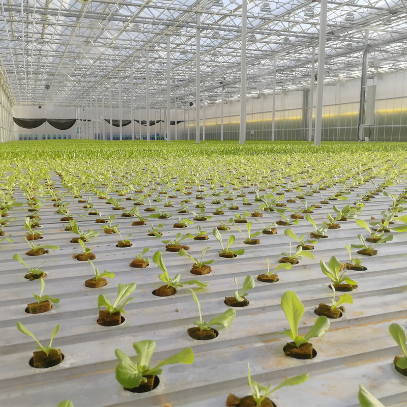 Modular Greenhouses, Made in China