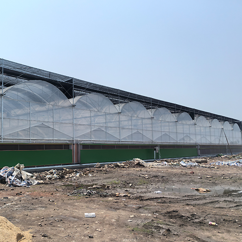 Energy-Smart Greenhouse Film