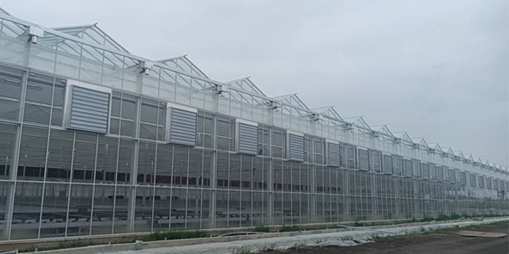 greenhouse plastic film