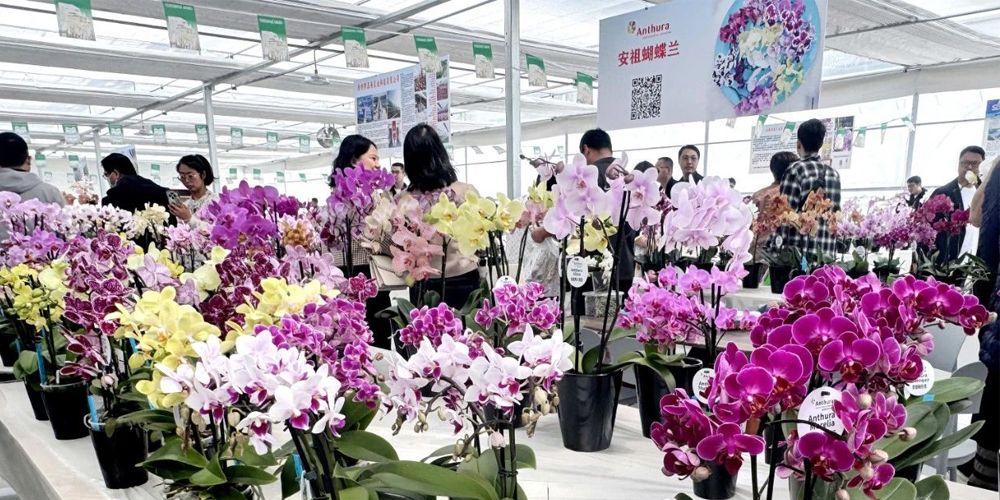 seed beds for planting