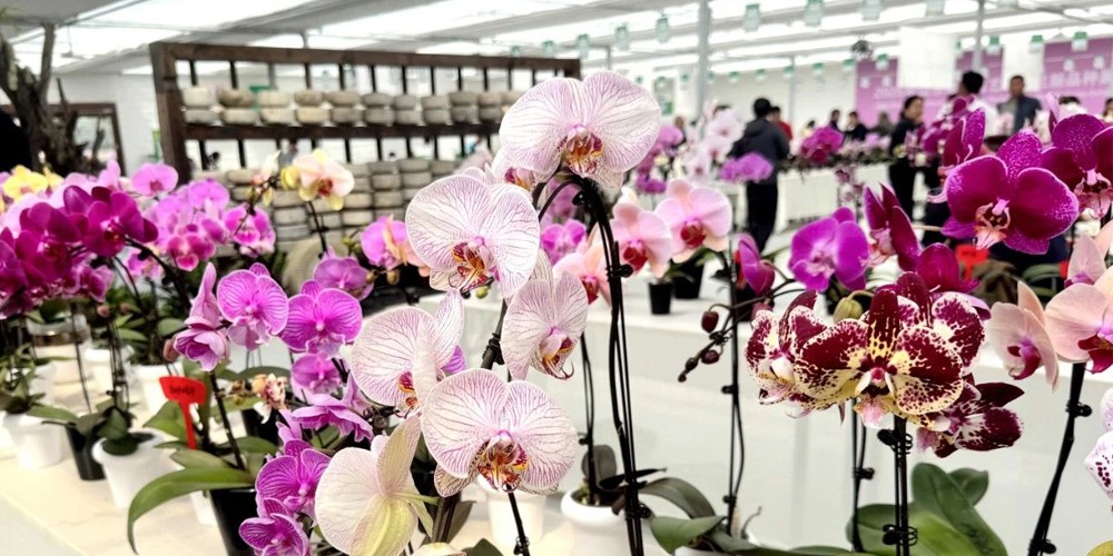 seed beds for planting