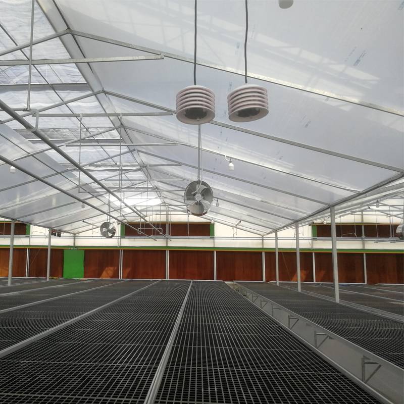 Complete Guide to Greenhouse seed beds for planting