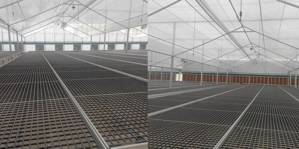 seed beds for planting