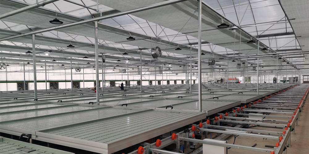 seed beds for planting