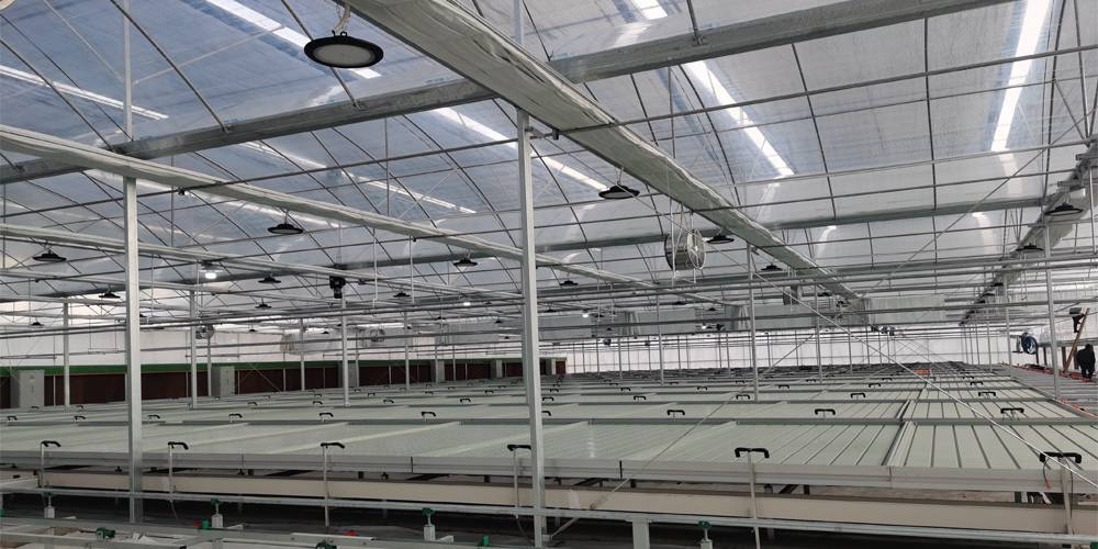 seed beds for planting