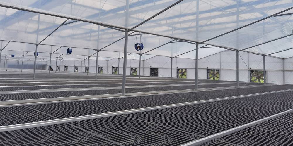 seed beds for planting