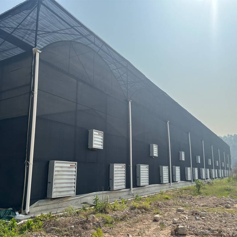 Smart Shade Revolution