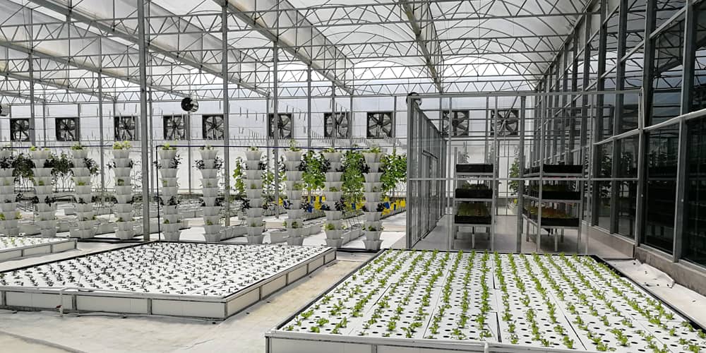 lettuce hydroponic system lettuce hydroponic system