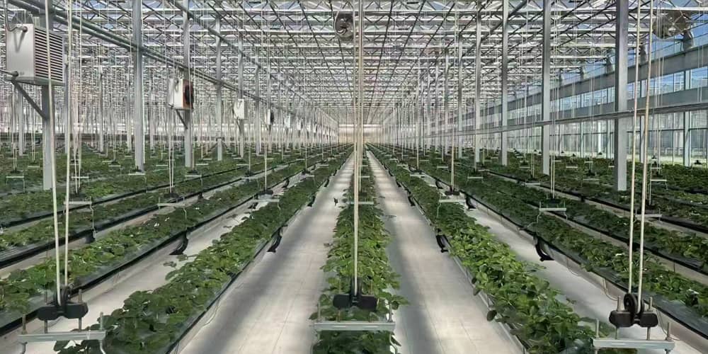 electrical control cabinet