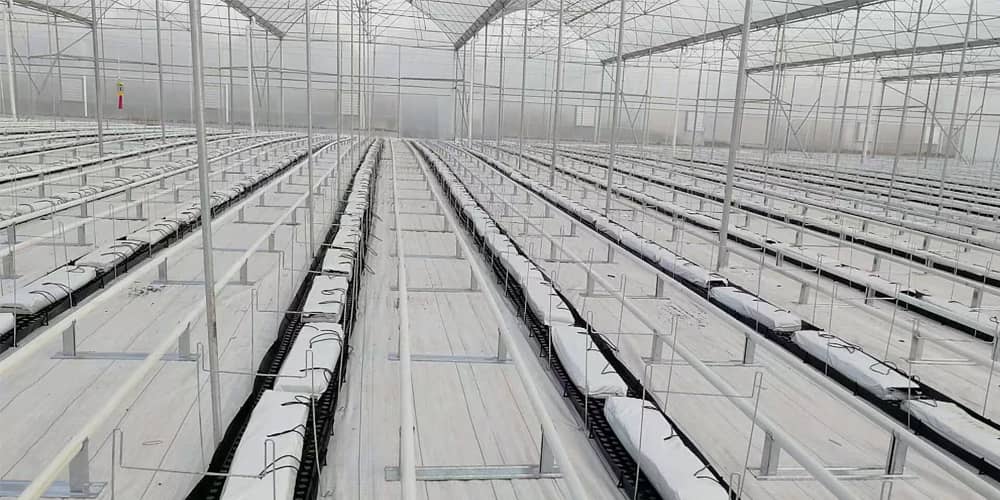 polypropylene greenhouse