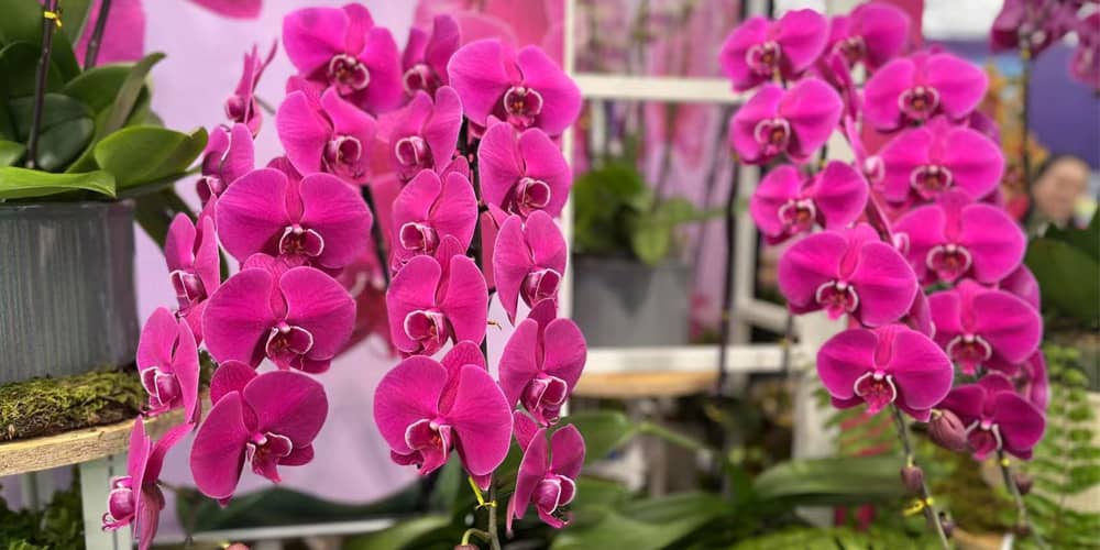 electrical control cabinet