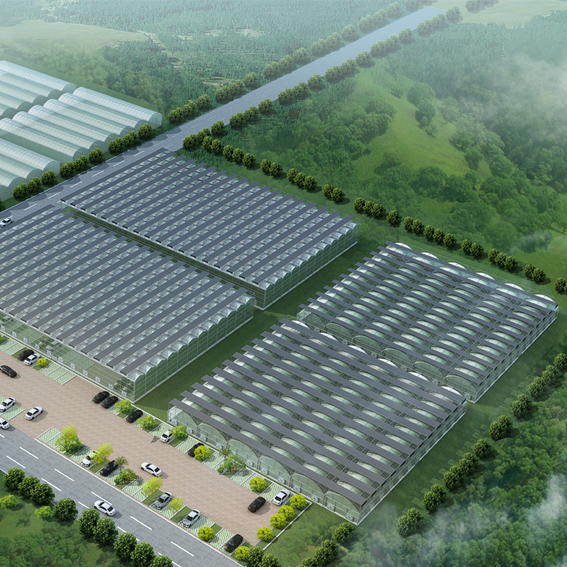 Development Trends and Prospects of Facility Agriculture