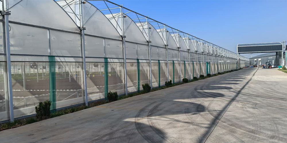 Greenhouse Farming