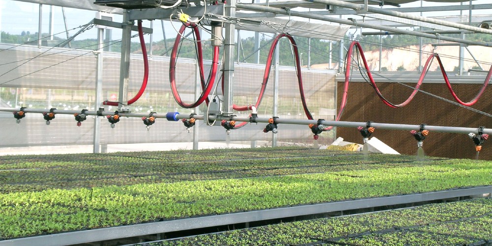 greenhouse ventilation fan