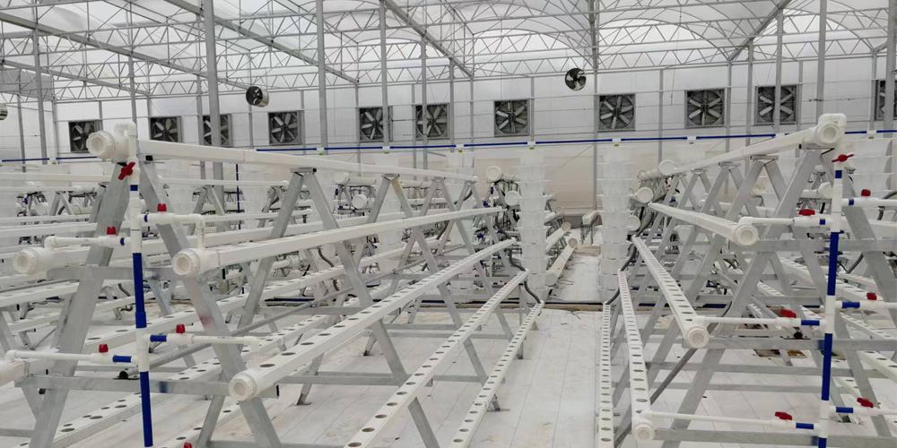 greenhouse air circulation