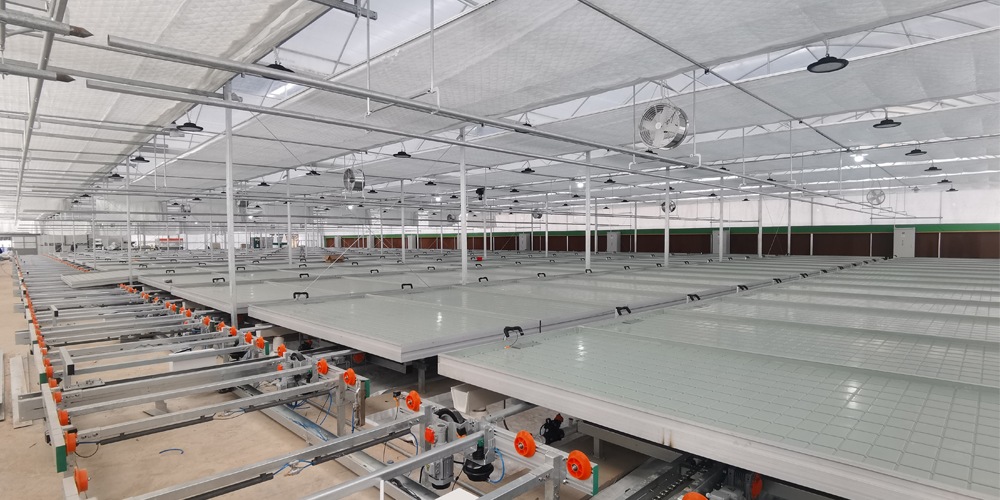 hydroponic greenhouse