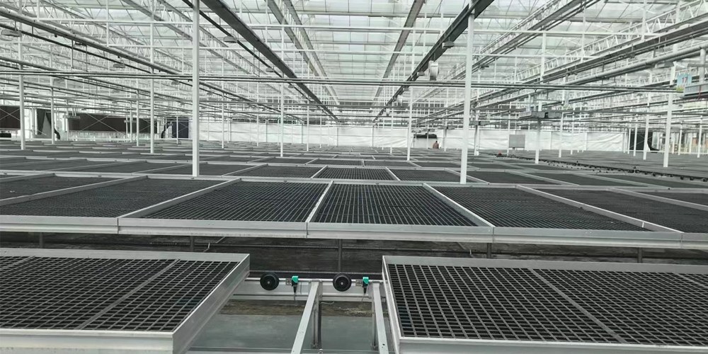 hydroponic greenhouse