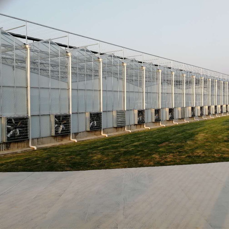 Can greenhouse coverings block UV rays?