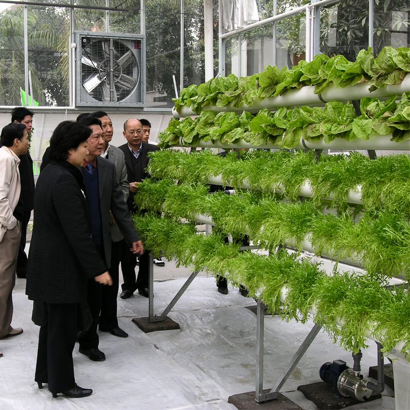 Why is the tidal system the future of hydroponic agriculture?
