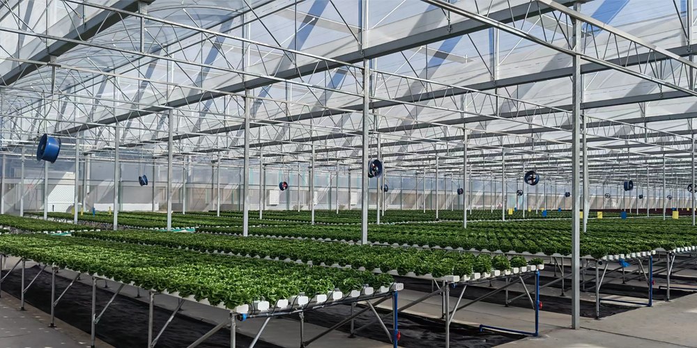 ebb and flow hydroponic system ebb and flow hydroponic system