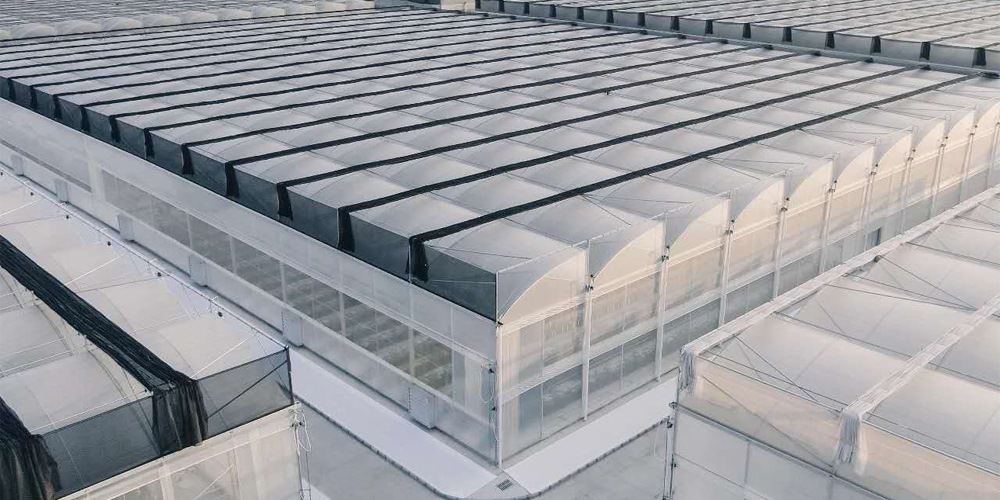 lettuce grow farmstand