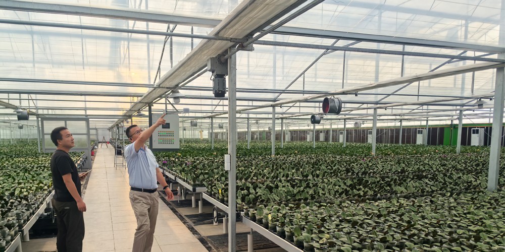 plastic polytunnel greenhouse