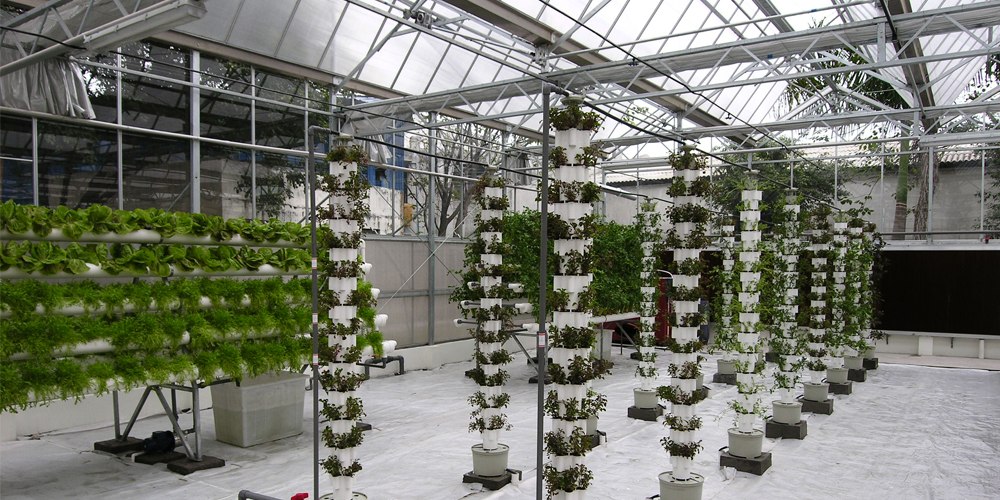 plastic green house plastic green house