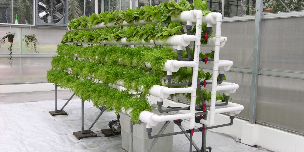 hydroponic watering system hydroponic watering system