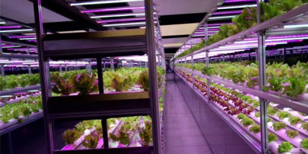 smart hydroponic system