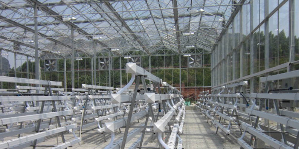 ebb and flow grow system