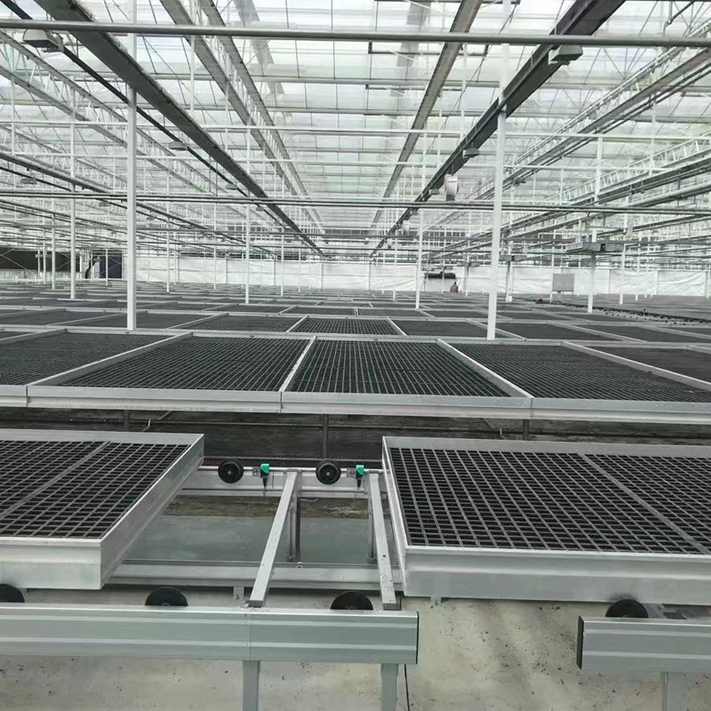Carbon-Neutral Farming: How Hydroponic Greenhouses Cut Carbon Footprint in Half
