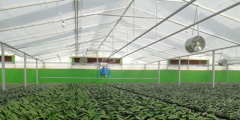 dehumidifier and fans