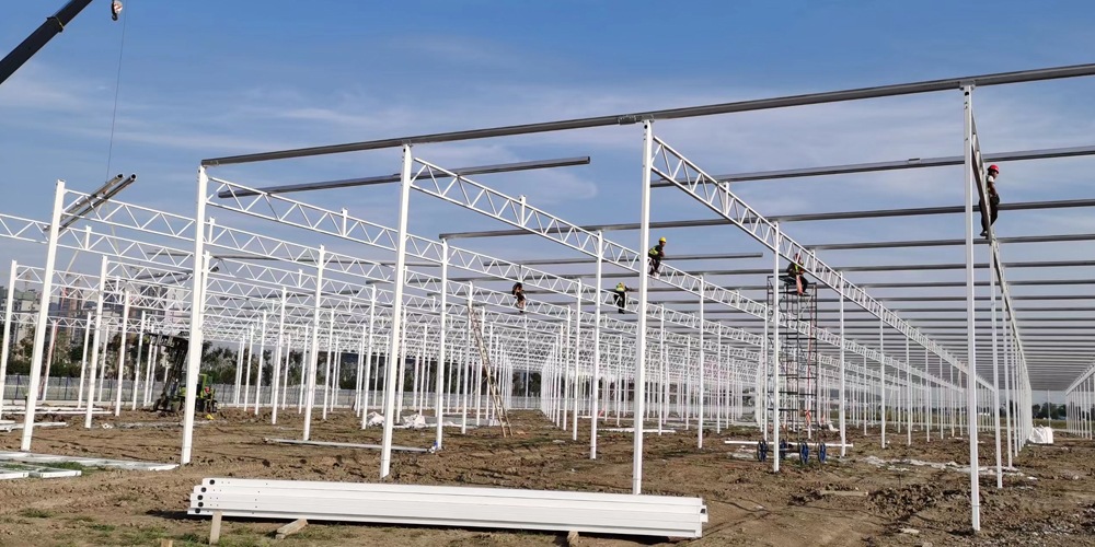 glass green houses glass green houses