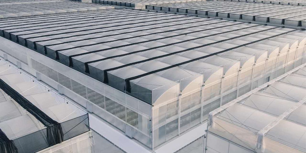 glass house for vegetables