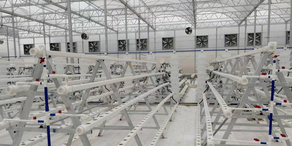 smart hydroponic system