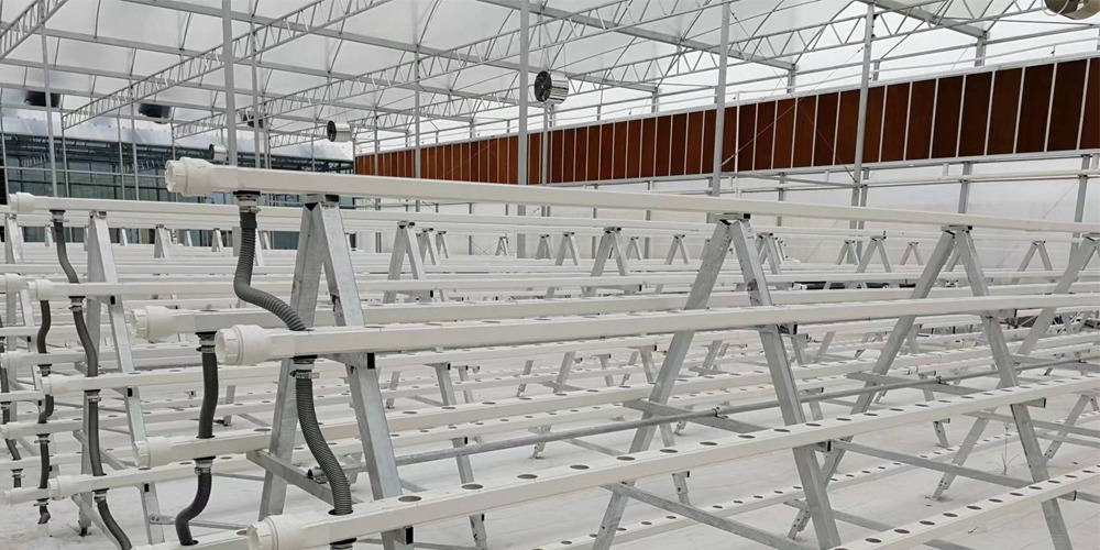 glass house for vegetables