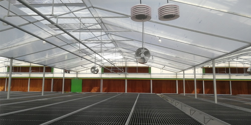 horticultural glass greenhouse