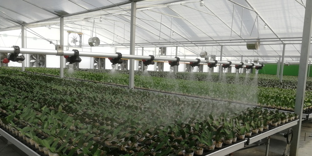 building a plastic greenhouse