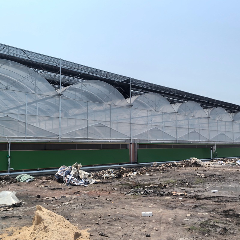 The Scaling Miracle of Plastic Polytunnels