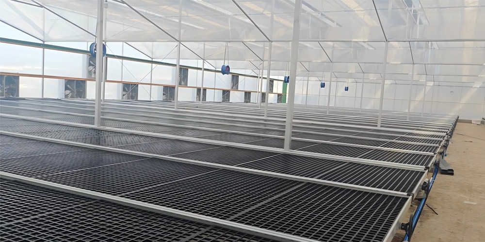 seed beds for planting