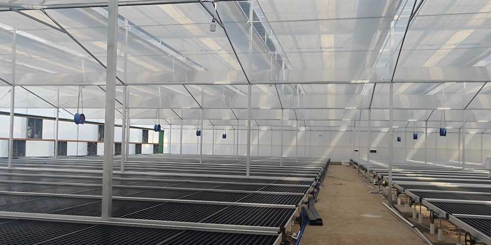 greenhouse sunshade