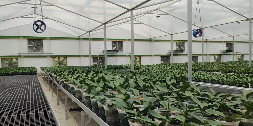 seed beds for planting