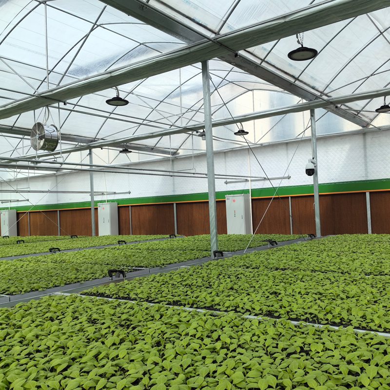 How Greenhouse Technology Enables 