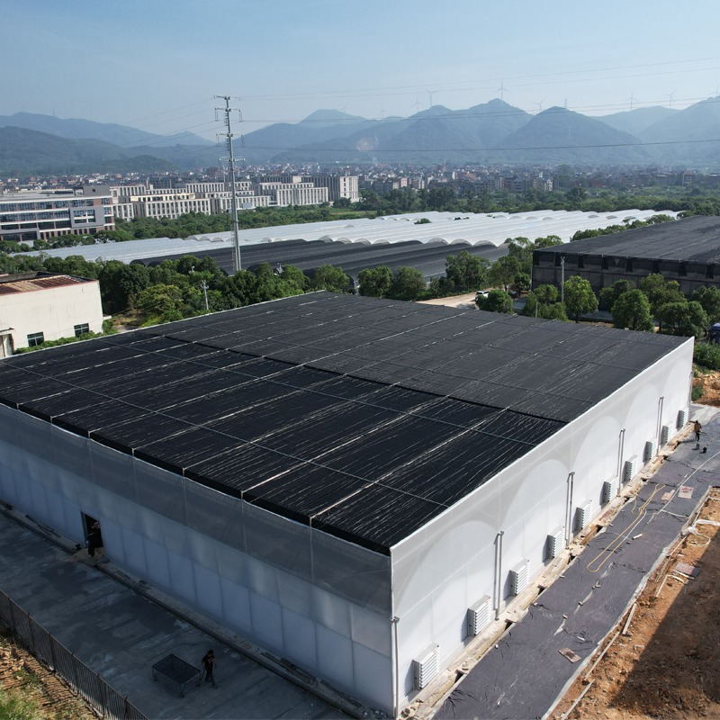 Plastic Polytunnel Greenhouses Emerge Transformed
