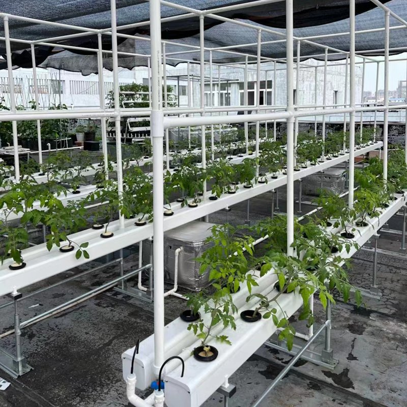 What are the cheaper methods to cool a greenhouse?