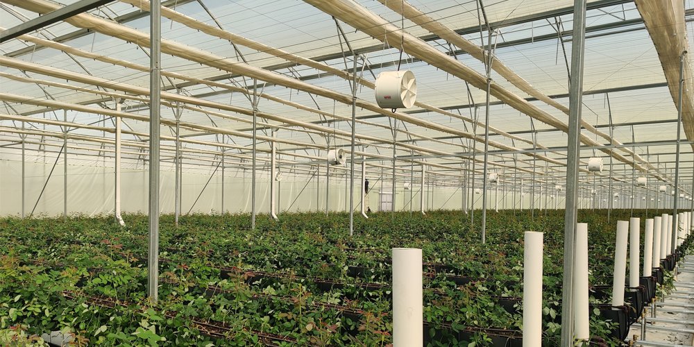 building a plastic greenhouse