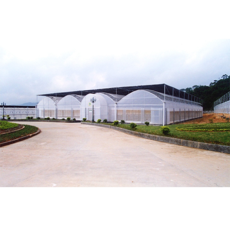 5 Tips for Maintaining Environmental Balance When Coexisting Hydroponic Vegetables and Phalaenopsis Orchids