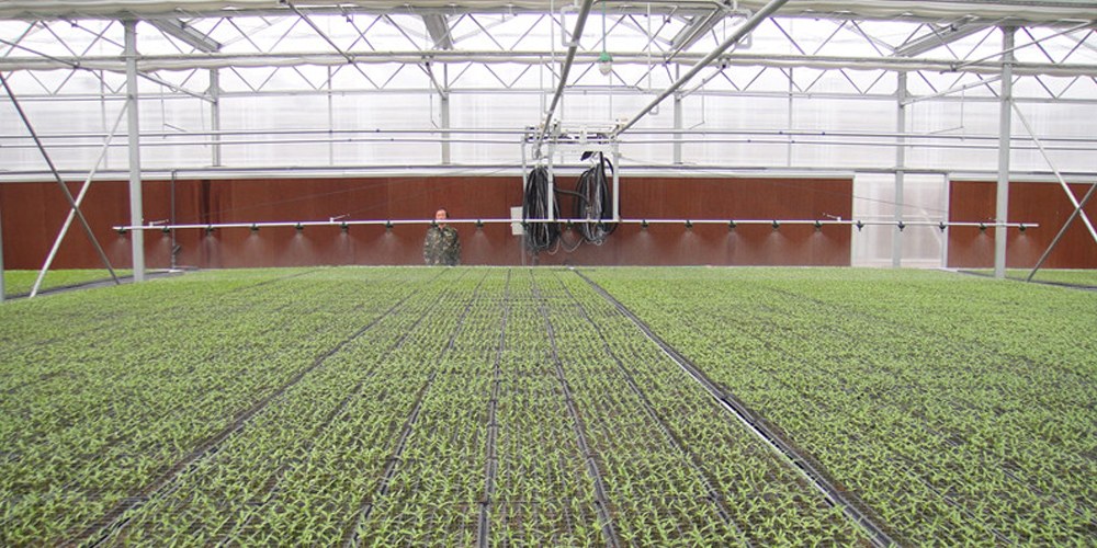 smart hydroponic system