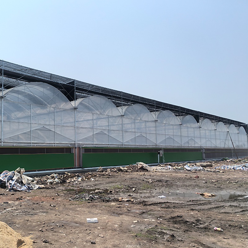 Temperature and Humidity Control and Equipment Adaptation Scheme for Phalaenopsis Greenhouse Cultivation